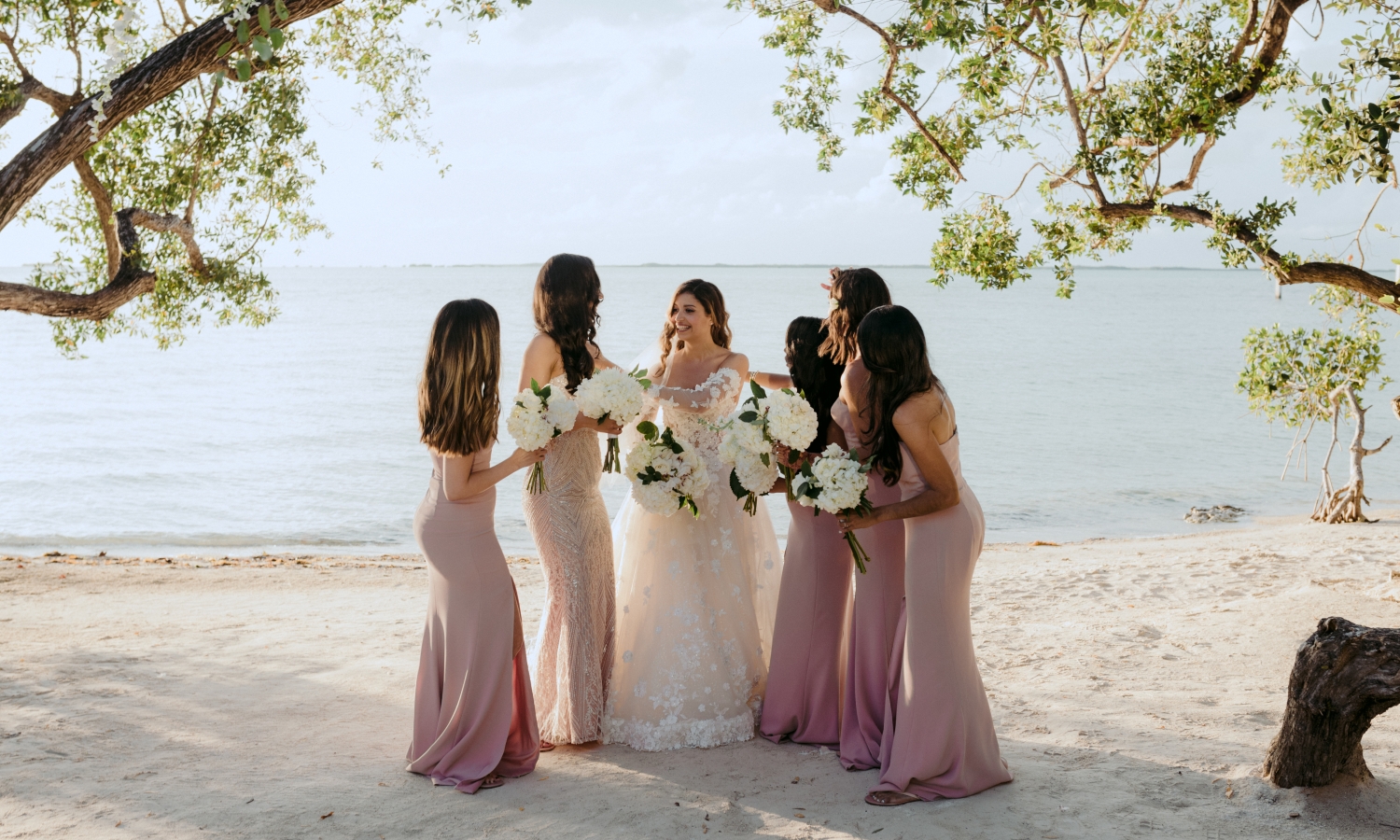 a bride and her bridesmaids