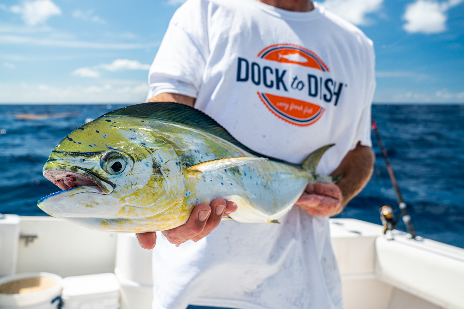 a person holding a fish