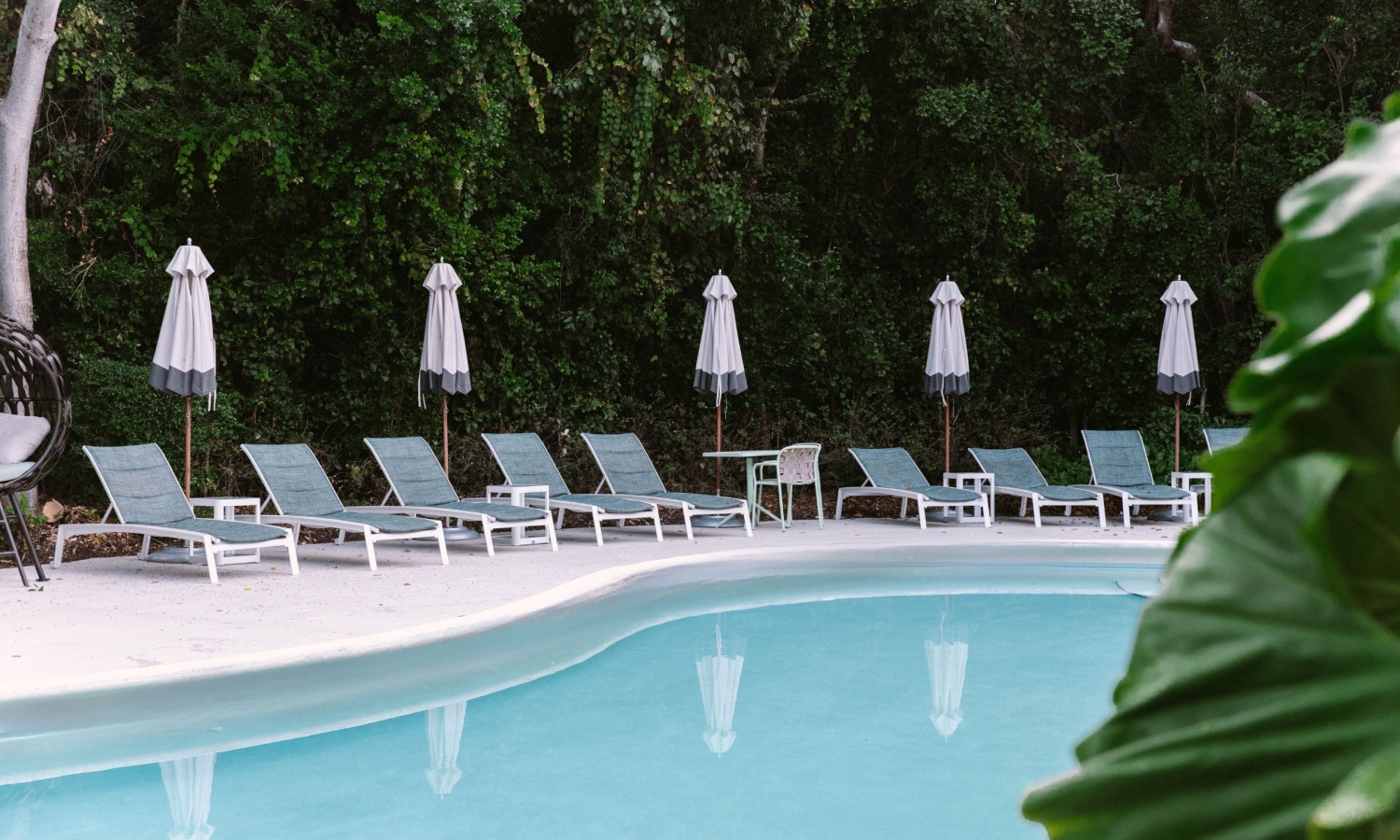 pool chairs and the pool