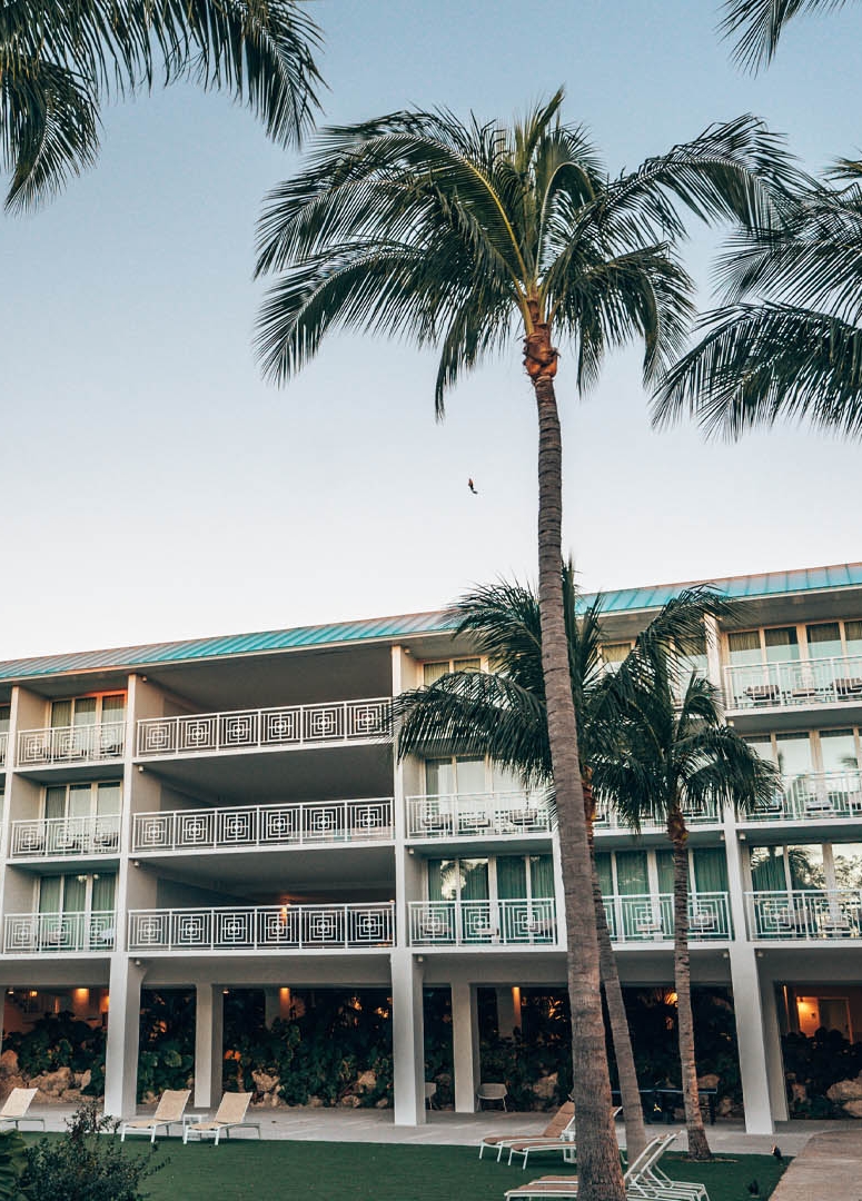 hammock wing exterior