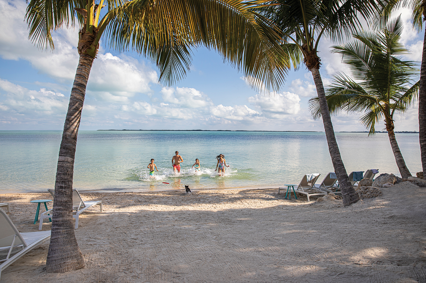 beach in key largo