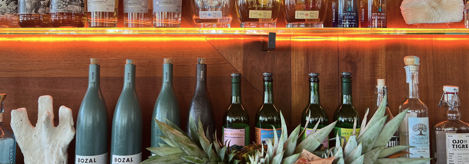 Taco Tuesday & Trivia Baker's Cay Resort