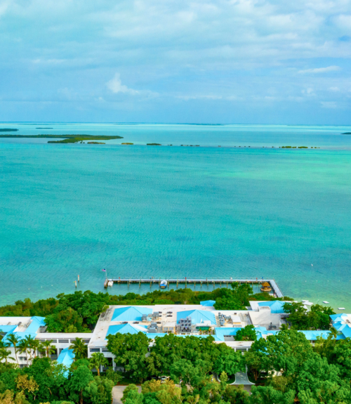 Island exploration planning